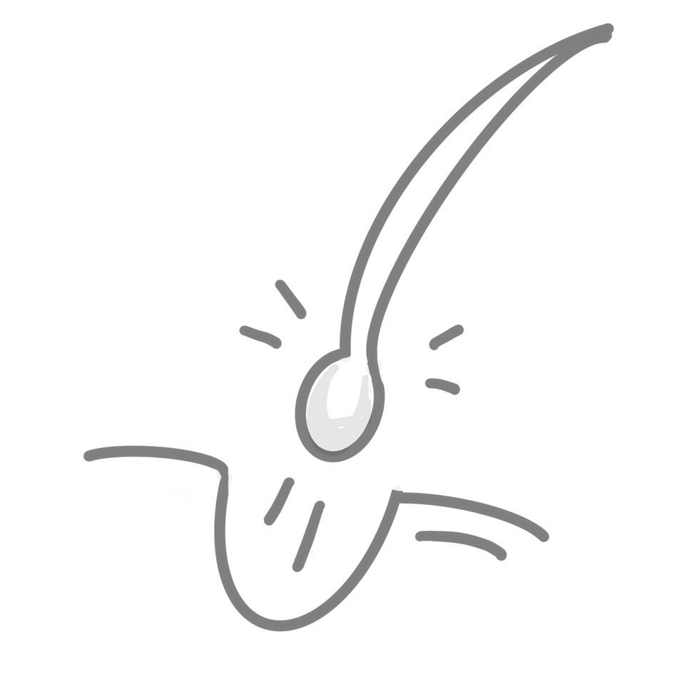 名称未設定のアートワーク.png