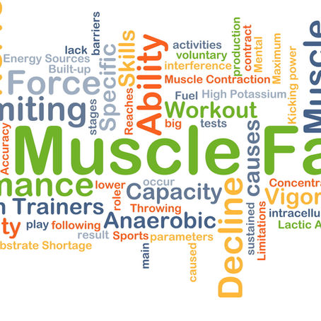 Article 7: Cross Country Training Cycle-Endurance Runners