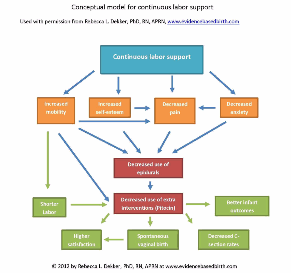 Evidence Based Birth continuous labor support conceptual model