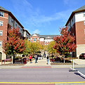 iup.jpeg