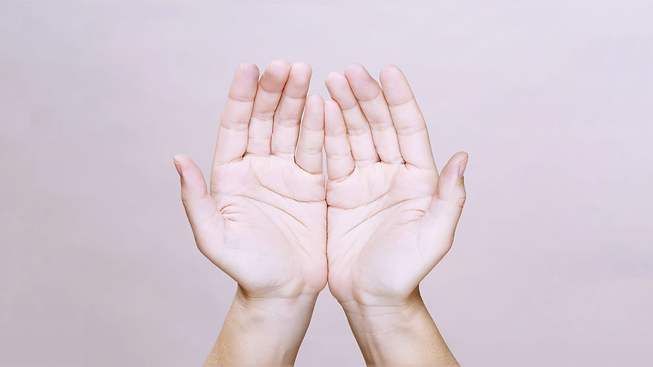 Two hands together palm up.