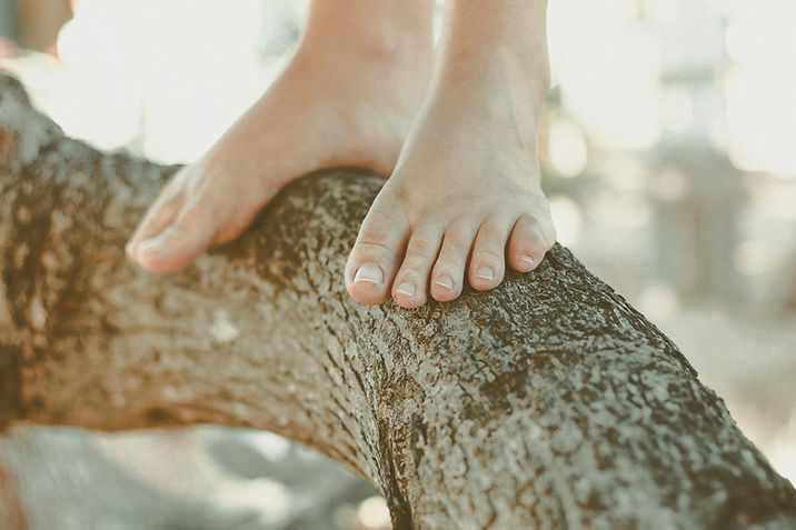 Feet on a tree branch close up