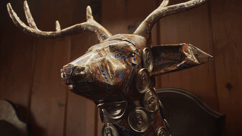 canimals.gif