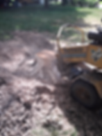 Stump Grinding