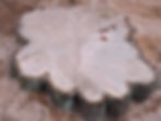Large Oak Stump