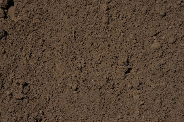 Topsoil