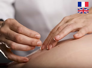 Untitled design (10).png