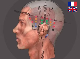 Untitled design (8).png