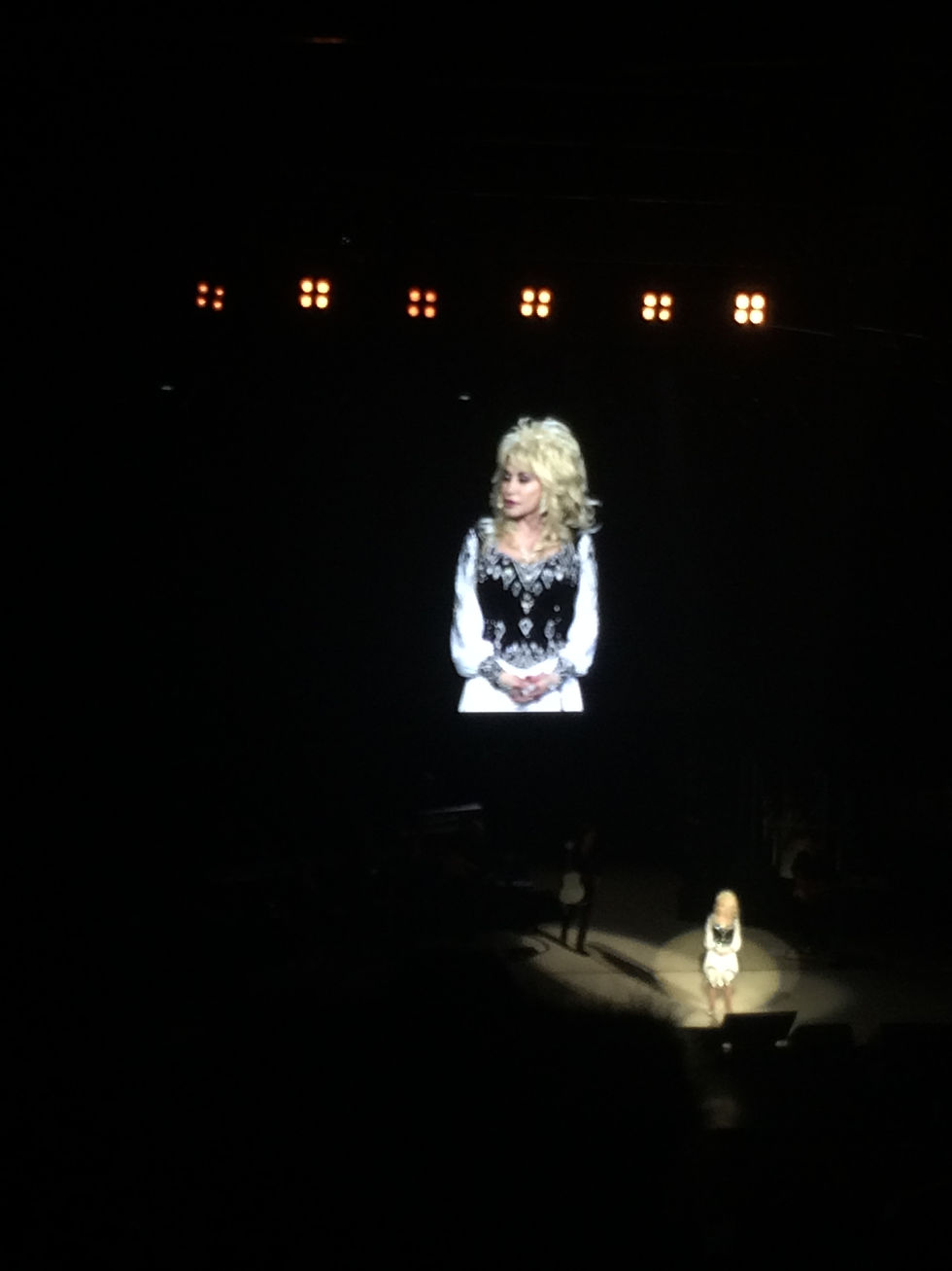 dolly4.JPG