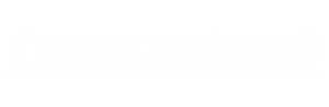 main.png