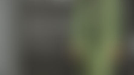 Leeds Working internationally to bring together scientific research and urban policy