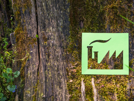 Decarbonizing Light Manufacturing Industries in a Pinch