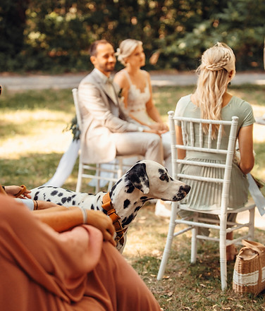 Hochzeit mit Tieren