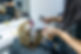 WavelengthHairdresserBathurstNSW-40.jpg