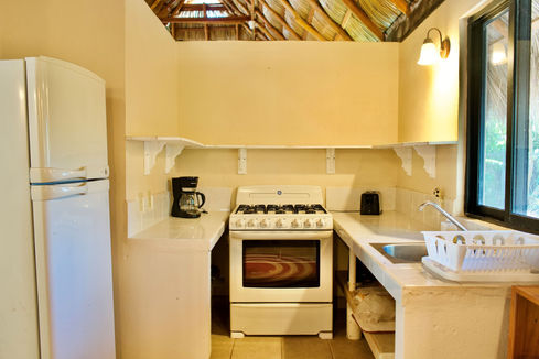 DSC03122 Nueva .jpeg