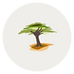 image-asset.png