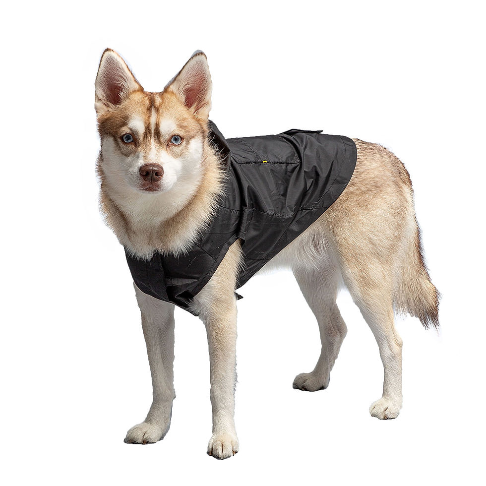 Thumbnail: US Army Packable Dog Raincoat - Black