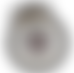 Drone Ban - Inventory concerns?