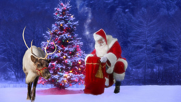 Santa David