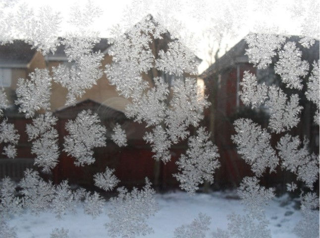 Screenshot 2025-12-17 114512 (Small)