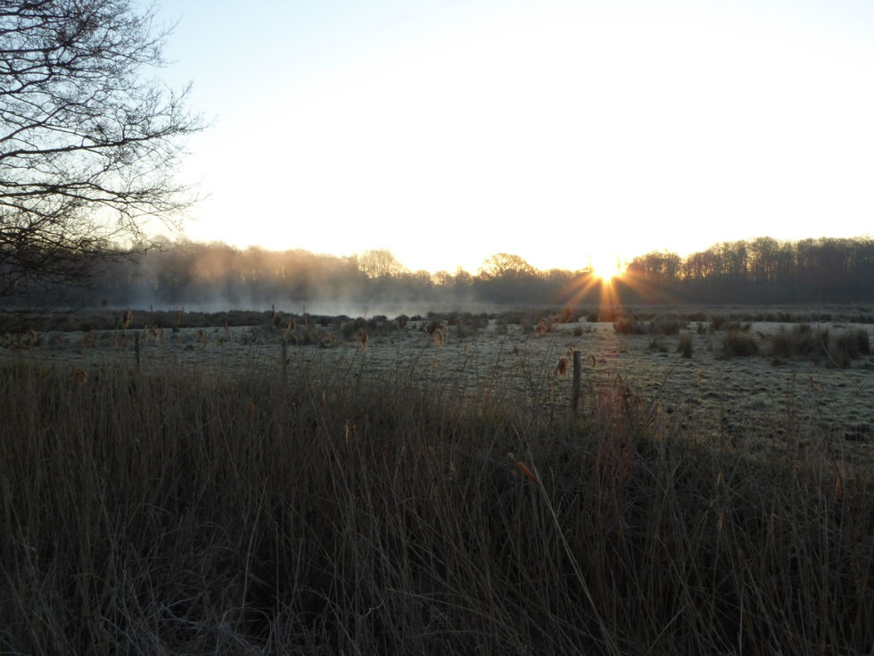Mists on Parkers Piece 2016 (Large)