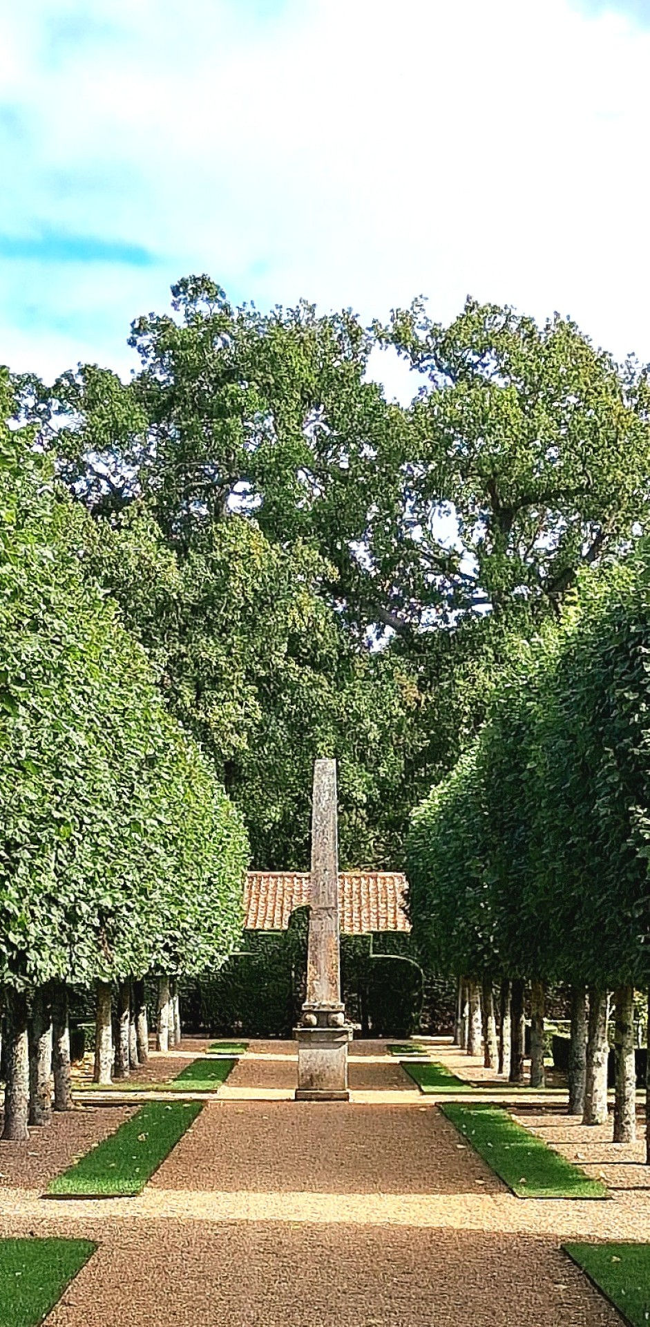1000032424 (Large)