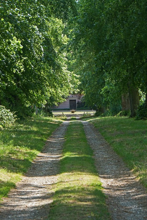 The Hall front door (Large) (Small)