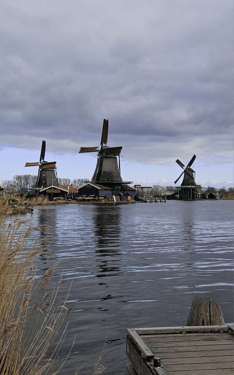4 Winter Spring (Large) (Small)