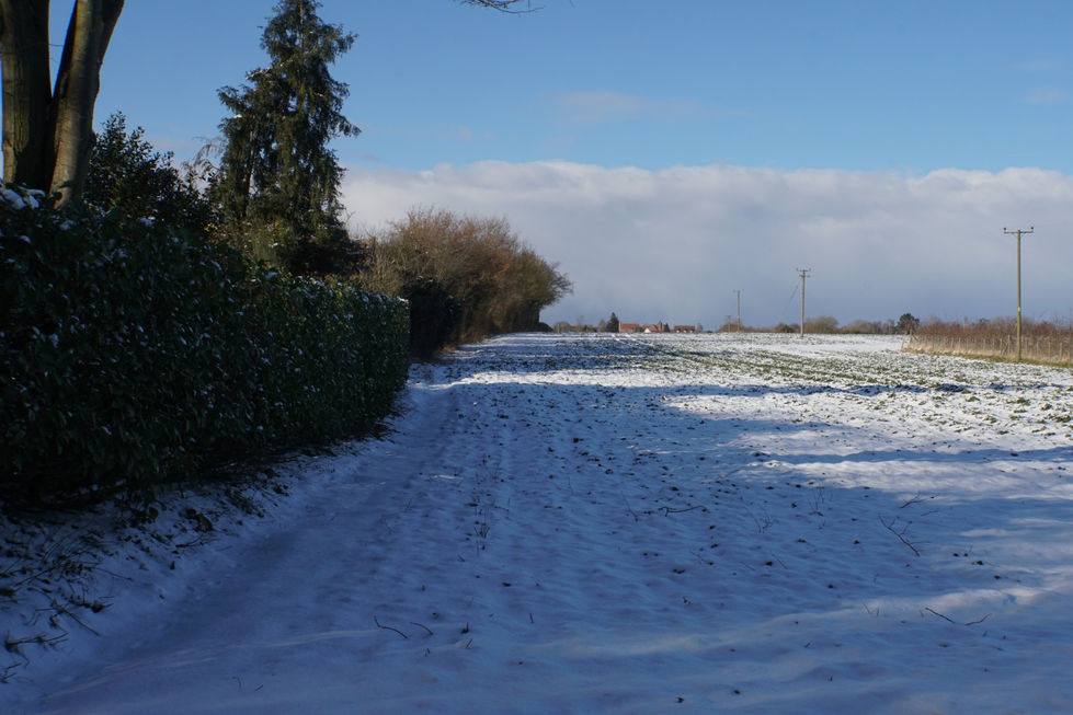 Blo' Norton Fen to Street Feb 2018 (Large)