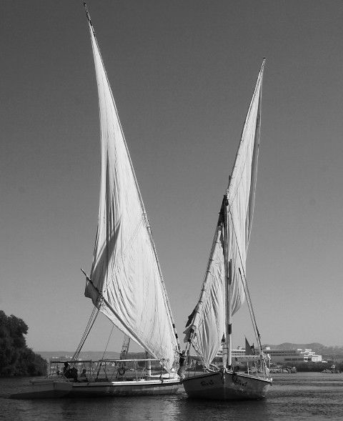 Dancing boats (Large) (Small)
