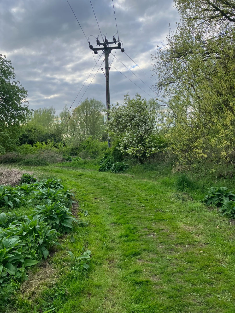 image4 (Large)
