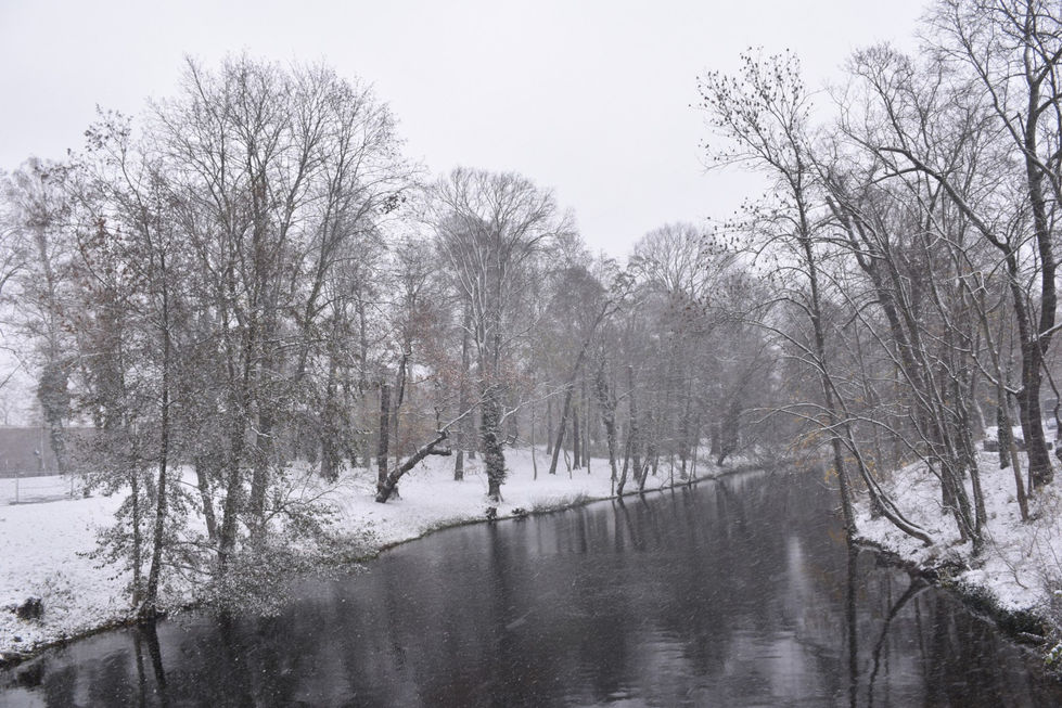 1 Winter Spring (Large)