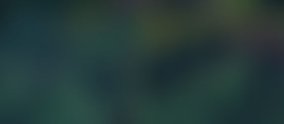 四国地方 某山域１（2025年6月下旬発生）