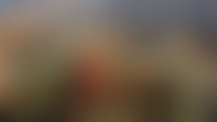 De la pharmacie aux épidémies : Histoire des amphétamines