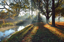 Heathcote Rays.jpg