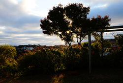 Mt Pleasant Sunrise.jpg