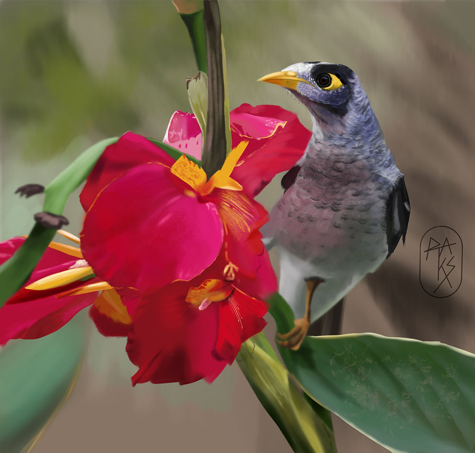 Etude digital painting