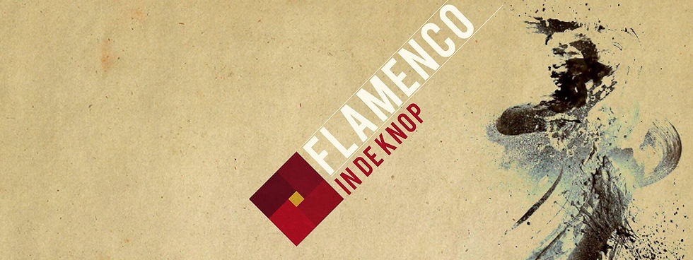 Flamenco in the Button (afternoon)