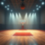 basketball court with lights .jpg