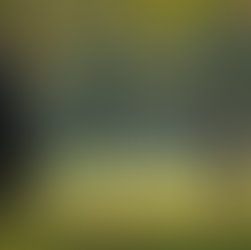 How Private Investigators Support Attorneys in Child Custody Behavior Investigations