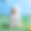 Thumbnail: Angel Chick