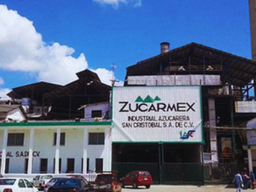 Fernando Aportela y Altor: La nueva generación que transforma la crisis del Ingenio Puga en Nayarit