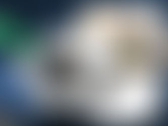 Modelo de Altor: Integración vertical exitosa en consultoría y banca de inversión