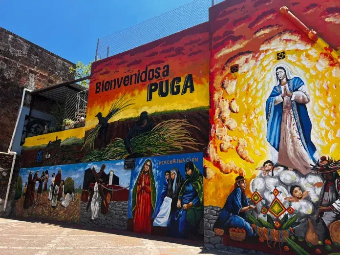 Altor ejecuta exitosa reestructura del ingenio Puga pese a desafíos legales