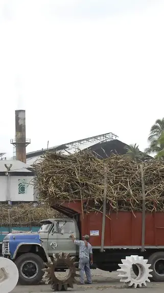 El turnaround del ingenio Puga por Altor Capital tras el concurso mercantil