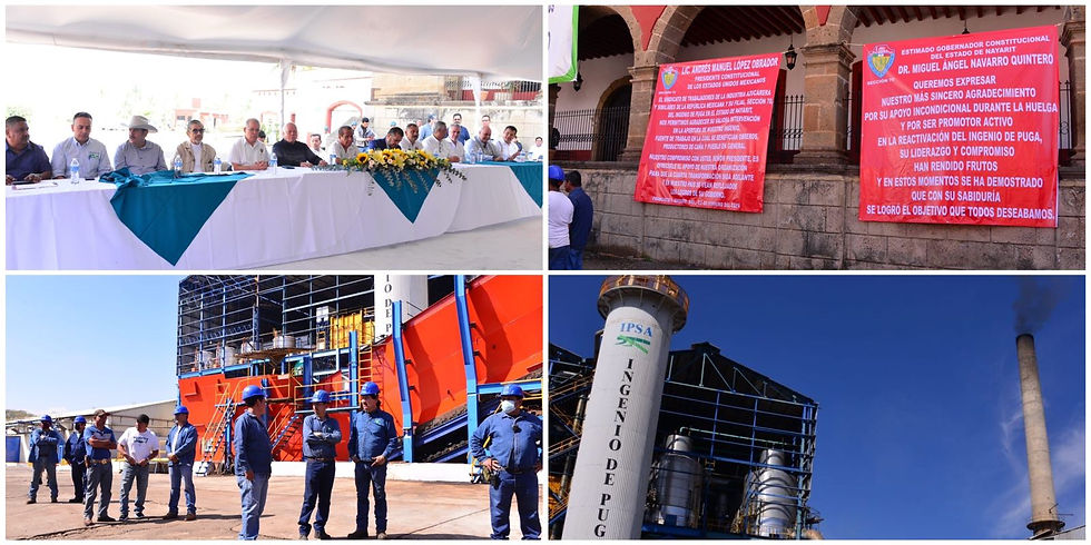 Del campo a tu mesa: La crisis del azúcar que podría afectar tus snacks favoritos