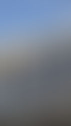 Estrategia corporativa: Fibra Uno (FUNO) nombra a Altor Casa de Bolsa como representante común tras salida de CI Banco