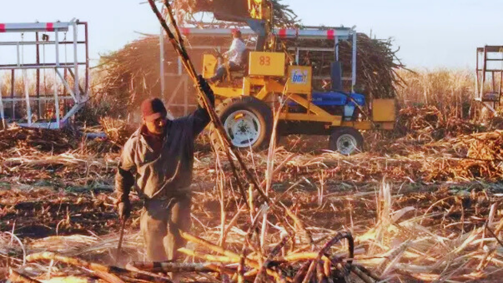 Grupo Altor reactiva el Ingenio Puga salvando la economía de Nayarit