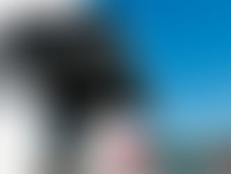 Altor garantiza estabilidad en el concurso mercantil del ingenio Puga de Nayarit