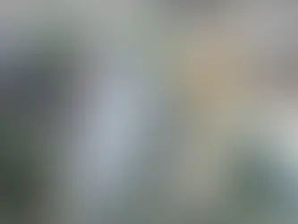 Altor la nueva plataforma para que los jóvenes inviertan en el sureste de México
